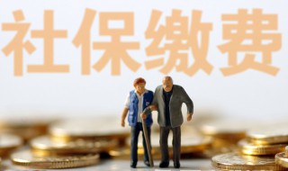 怎样交社保 如何交社保