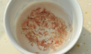 丰年虾是什么 什么是丰年虾