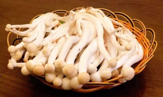 海鲜菇搭配禁忌 喜欢做饭的人要知道这些