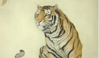 国画虎的画法步骤 国画虎的画法教程