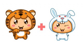 狗属相和虎书香的男生和兔属相的合适吗 狗男和虎狗男和兔相配吗