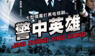 警中英雄大结局 警中英雄大结局是什么