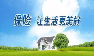 我有寿险保单如何借款 累计方式怎么样