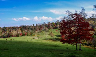 溪谷旅游景点 临江溪谷风景区附近有什么景点以及溪谷风景区的简介