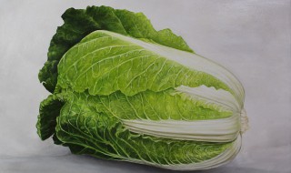 白菜的切法 快来学习起来