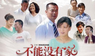 不能没有家丁蕊结局 谁演的丁蕊