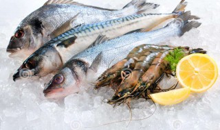 鱼塞冰怎么治 原来是这样治疗