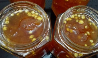 梨糖膏的做法 原来是这样做的