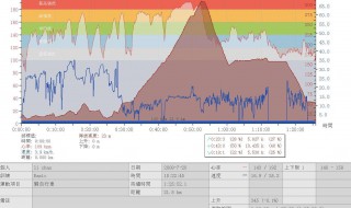 心率低于40有什么危害 被称为什么