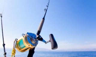 秋冬夜钓没口怎么办 这几点要掌握好