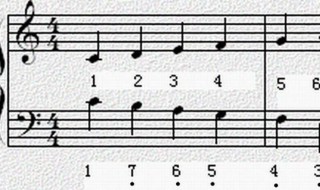 五线谱快速记忆法口诀 专家教你这样记忆