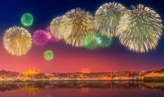 铁树银花指什么花 铁树银花什么意思