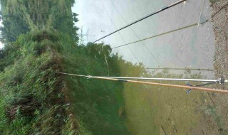 河道回水湾怎样钓鱼 河道回水湾如何钓鱼
