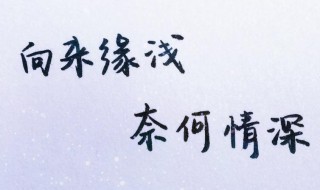 奈何缘浅上一句是什么 上一句是向来情深