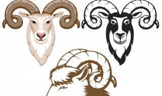 属羊的人适合住几楼 准爆了别不信