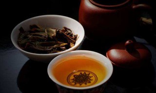 鸭屎香的由来 这些你需要知道的