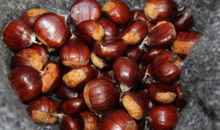 粟子怎样剥壳是什么垃圾 粟子剥壳的方法