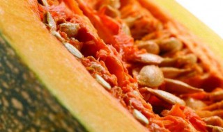 南瓜籽真的驱虫吗 南瓜可不可以驱虫详解