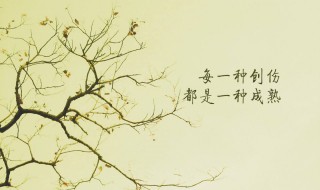 心灵鸡汤励志正能量短句 激励自己成功