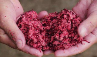 红虫粉配什么料钓鲫鱼 希望回答对你有一点帮助