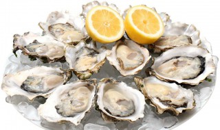 吃牡蛎的禁忌 一周能吃多少次