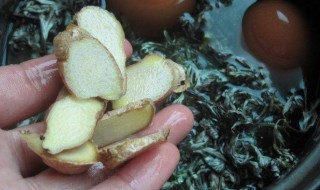 艾叶和生姜有什么的禁忌 这些禁忌你必须知道