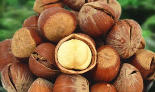 榛子怎样炒能开口 这样做简单又方便