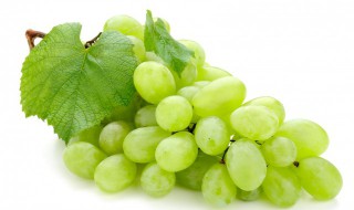 梦见萄葡怎么回事 是好的还是坏的寓意