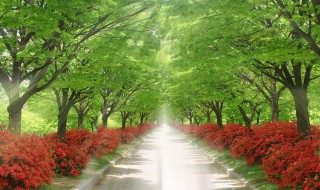 明亮的光代表散射光吗 何为散射光