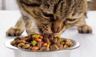 海瑞特猫粮怎么样 健康吗