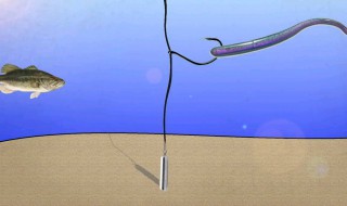 淡水路亚饵选择方法 走进钓鱼法