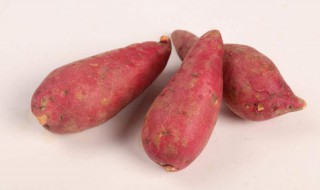 漏头青红薯能吃么 后果很严重!