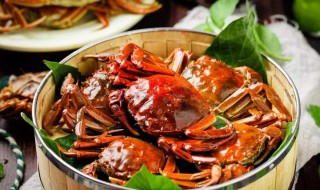 吃河蟹配什么酒 跟你一起了解清楚