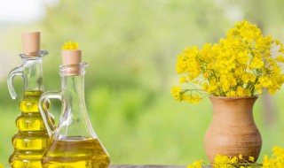 菜籽油耐高温吗 高温加热后的菜籽油还能吃吗