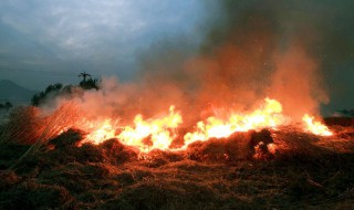 河南允许烧秸秆吗 河南还严查秸秆焚烧吗