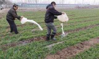 梦见浇地是什么预兆 是坏的征兆吗