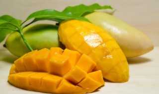 芒果如何催熟 生芒果要如何催熟