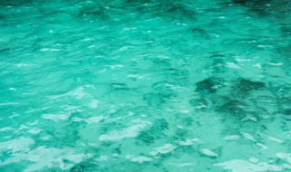 碧波荡漾是什么意思 碧波荡漾出自何处