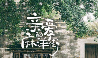 谭松韵亲爱的麻洋街什么时候播 亲爱的麻洋街简介