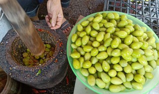 青榄怎么加工保存 青榄如何加工保存