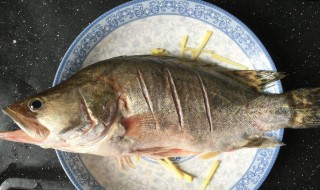 做桂鱼怎么处理 做桂鱼处理方法
