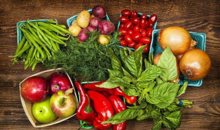 健康饮食的演讲稿 拒绝垃圾食品