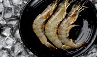 大虾的存储方法 怎么保存大虾