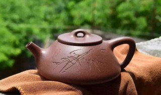 紫砂壶泡什么茶最好 用紫砂壶泡什么茶最好