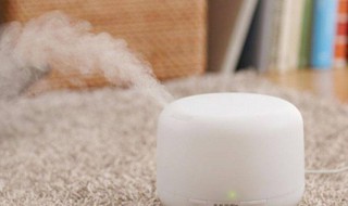 家庭除湿怎么做 家庭如何除湿