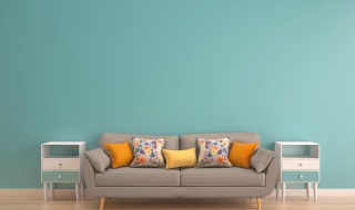 进门正对墙挂什么好 适合进门正对墙挂的画