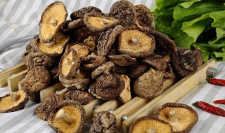 菇类干货怎么保存 干蘑菇怎么保存
