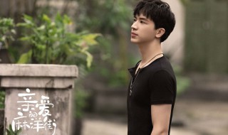 亲爱的麻洋街主演 亲爱的麻洋街是谁主演的