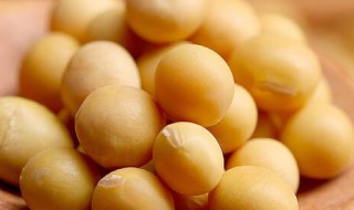 怎么种黄豆 种黄豆的方法