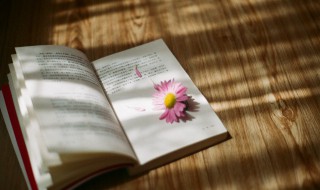 殆尽是什么意思 殆尽释义